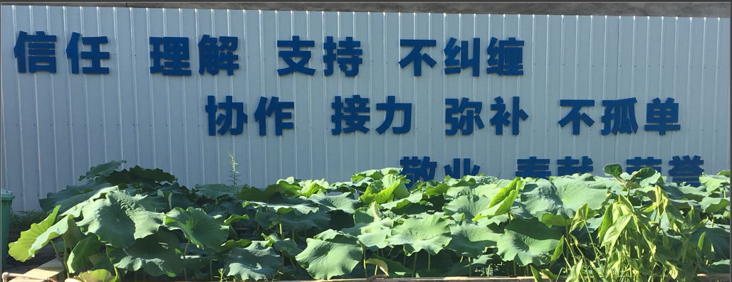 1565303679636840.png 11.png