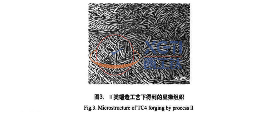 1582721665744447.jpg 未標題-2.jpg