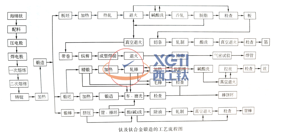 1589705751436339.jpg 1589704902624副本副本.jpg